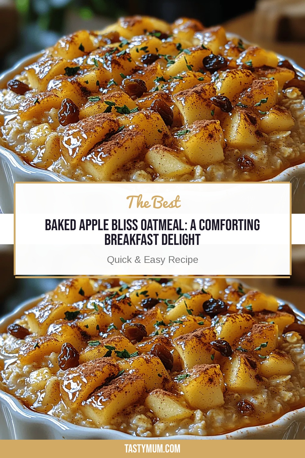 Baked Apple Bliss Oatmeal: A Comforting Breakfast Delight