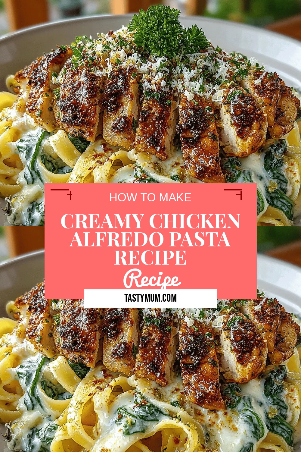 Creamy Chicken Alfredo Pasta Recipe