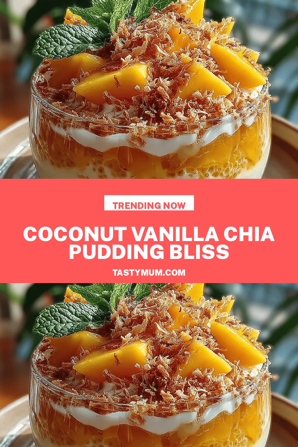 Coconut Vanilla Chia Pudding Bliss