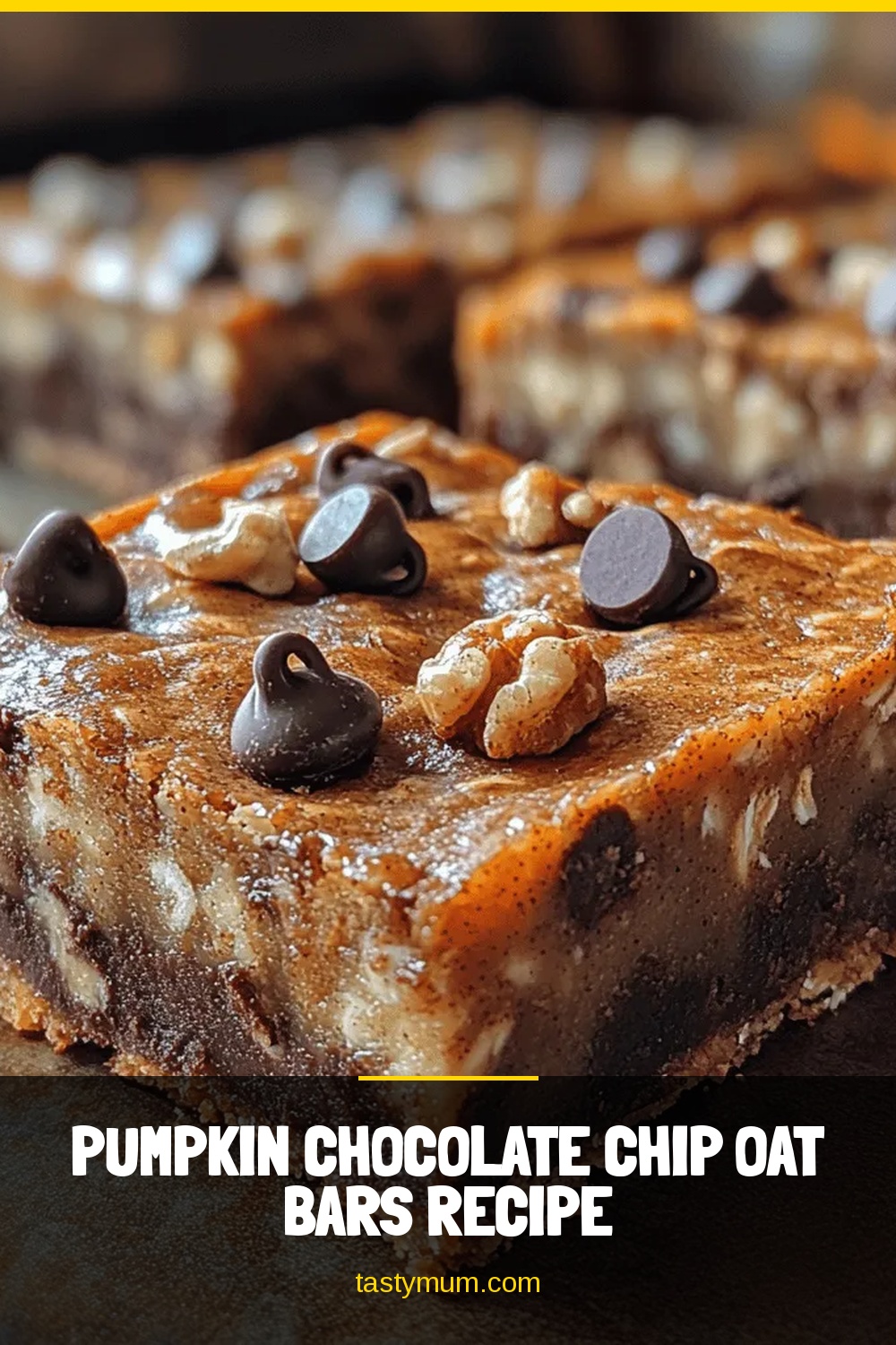 Pumpkin Chocolate Chip Oat Bars Recipe