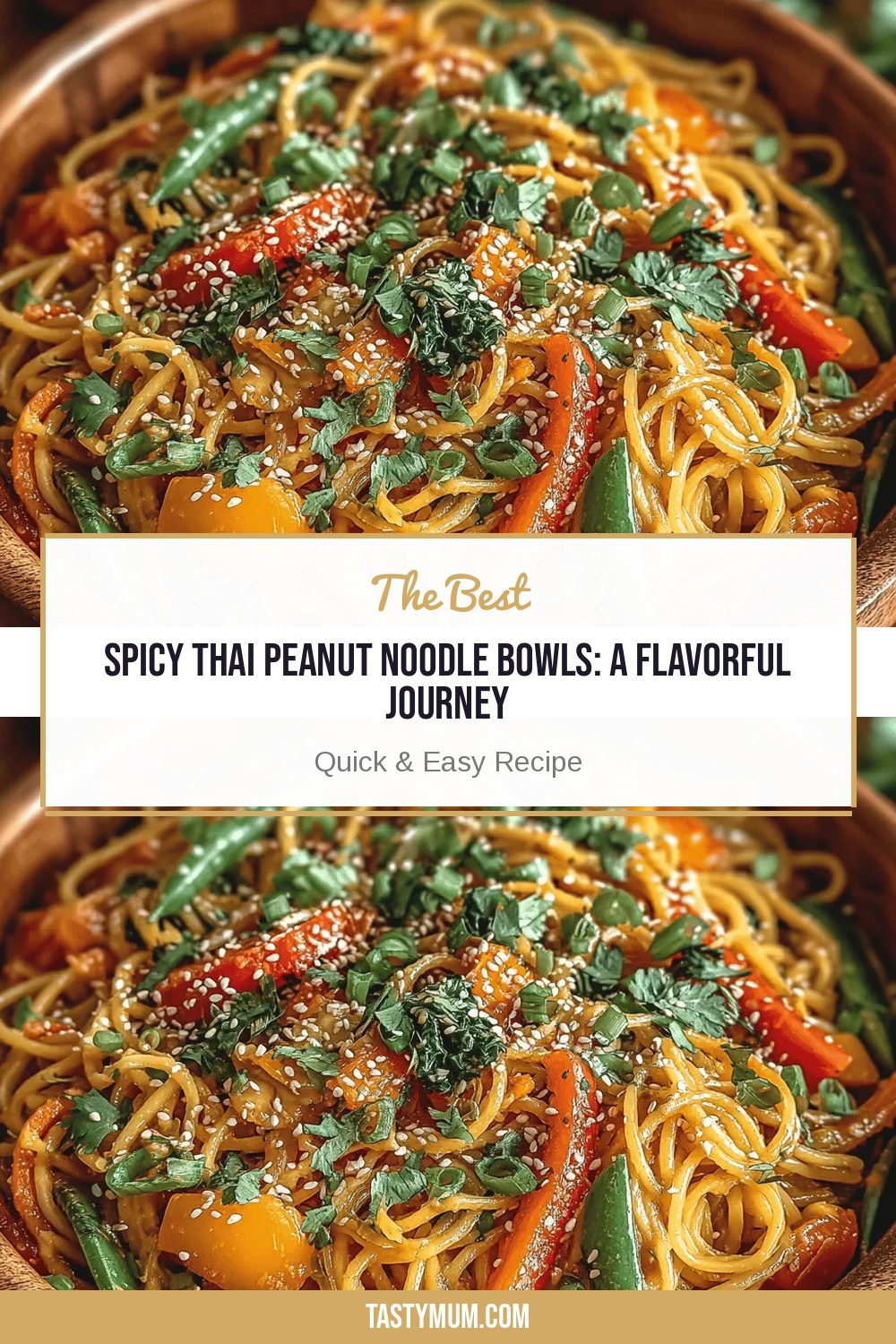 Spicy Thai Peanut Noodle Bowls: A Flavorful Journey